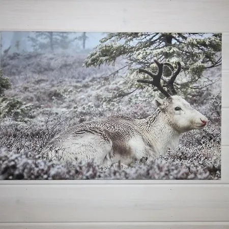 Διαμέρισμα Lapland Happiness Hillakka 2 A8